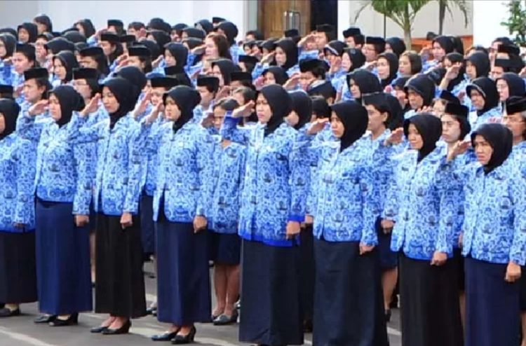 BKN Resmi Tetapkan Aturan Mutasi bagi PNS se-Indonesia, Ini Syaratnya
