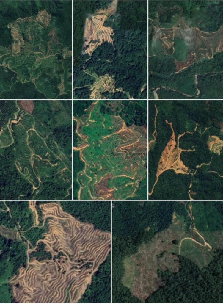 Keterangan Foto : Foto diambil pada Google Earth pro, setelah banjir surut, lokasi foto tersebut berada di kecamatan Bandar Baru, Kecamatan Meureudu, Kecamatan Meurah dua dan Kecamatan Bandar Dua Dok. LiputanGampongNews