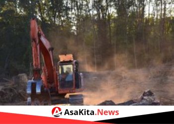 Menurut Laporan Terbaru UN-REDD, Hanya 40% Negara yang Rentan Terhadap Deforestasi