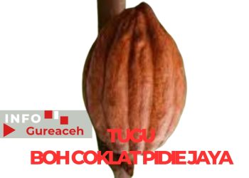 Usulan Pembangunan Tugu Meurahdu atau Boh Coklat di Pidie Jaya