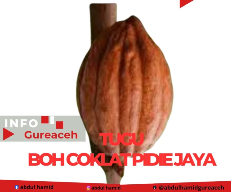 Usulan Pembangunan Tugu Meurahdu atau Boh Coklat di Pidie Jaya