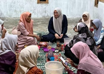 Ketua TP PKK Aceh Ziarah dan Bersilaturahmi di Seunudon