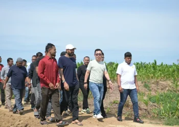 Mualem minta investor segera bangun pabrik rokok di Aceh Utara