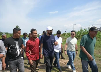 Gubernur harap investor percepat pembangunan pabrik rokok di Aceh