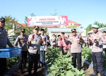 Kapolres Pidie Jaya Panen Terong di Lahan Polres, Dorong Ketahanan Pangan Lokal 2025