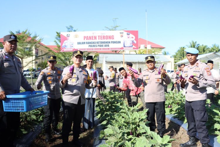 Kapolres Pidie Jaya Panen Terong di Lahan Polres, Dorong Ketahanan Pangan Lokal 2025