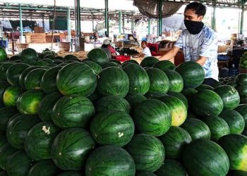 Semangka Segar dan Manis Kini Hadir di Banda Aceh, Joel Semangka Siap Layani Pesanan Anda