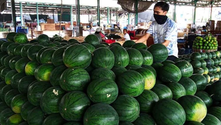 Semangka Segar dan Manis Kini Hadir di Banda Aceh, Joel Semangka Siap Layani Pesanan Anda