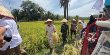 KETUA GERIDRA ACEH H.FADHLULLAH,SE   PANEN RAYA PADI TRISAKTI 75 HARI (HST) BERSAMA PETANI ORGANIK P 2000 Z