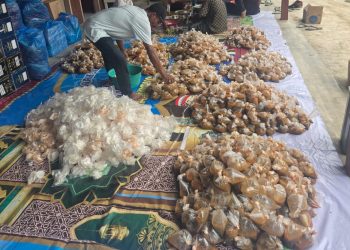 PENGUSAHA SPBU BOS GAM SALURKAN 5.000 BUNGKUS NASI DAN 3 EKOR SAPI SIAP SAJI UNTUK KORBAN BANJIR PIDIE JAYA
