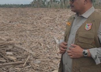 Safrizal ZA Balas Surat Alumni ITB: Pemanfaatan Kayu Hanyutan Aceh Wajib Ikuti Aturan Ketat dan Terkoordinasi