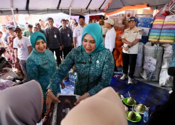 Kunjungi Batang Ara, Mendagri Apresiasi Kerja-kerja Kak Na