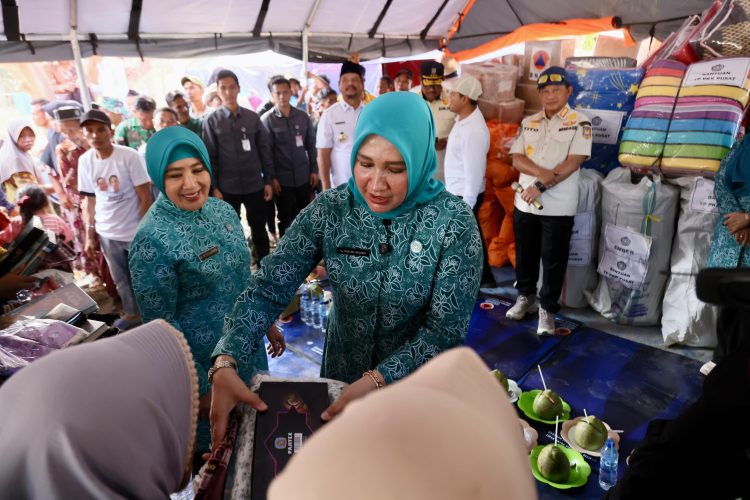 Kunjungi Batang Ara, Mendagri Apresiasi Kerja-kerja Kak Na