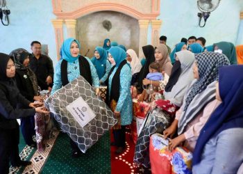 Kak Na Dampingi Ketum TP PKK Pusat, Salurkan Bantuan ke Gampong Pante Baroe Kumbang
