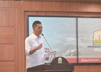 Pemerintah Aceh Luncurkan Dashboard Peta Aksi dan Partisipasi Masyarakat untuk Penanggulangan Bencana