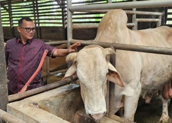AMANAH PRESIDEN UNTUK KORBAN BANJIR, OM SUR MINTA PENGAWASAN TOTAL DI ACEH