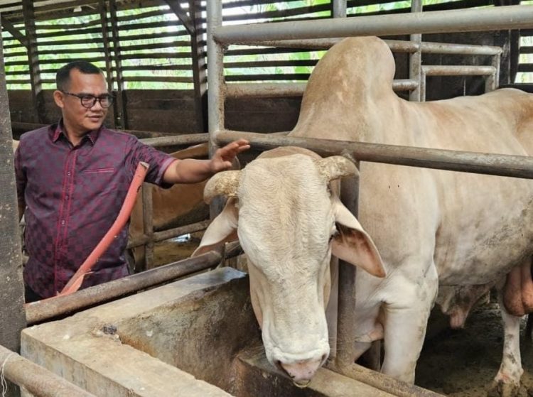 AMANAH PRESIDEN UNTUK KORBAN BANJIR, OM SUR MINTA PENGAWASAN TOTAL DI ACEH