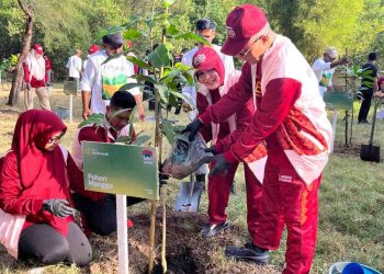 HUT ke-821, Banda Aceh Tegaskan Diri sebagai Kota Kolaborasi Lewat Aksi Tanam Pohon Bersama 24 Kota APEKSI