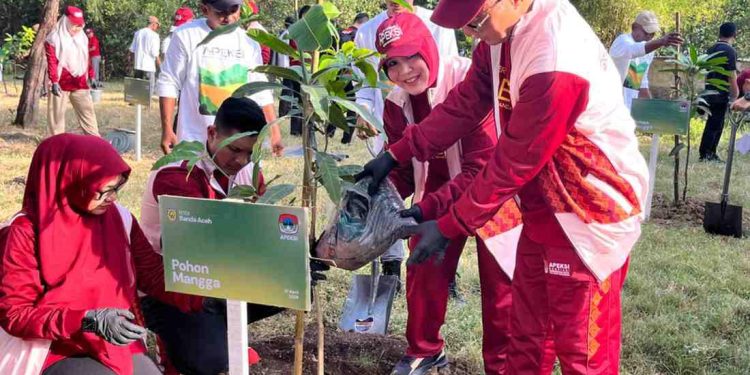 HUT ke-821, Banda Aceh Tegaskan Diri sebagai Kota Kolaborasi Lewat Aksi Tanam Pohon Bersama 24 Kota APEKSI