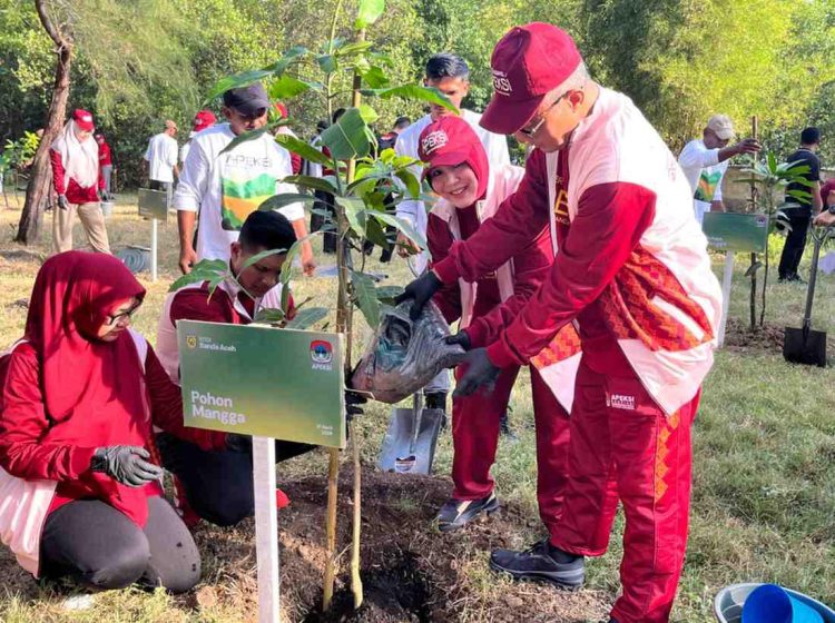HUT ke-821, Banda Aceh Tegaskan Diri sebagai Kota Kolaborasi Lewat Aksi Tanam Pohon Bersama 24 Kota APEKSI