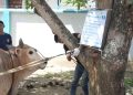 PLN UID Aceh Tebar Semangat Berbagi di Hari Raya Idul Adha 1447 H