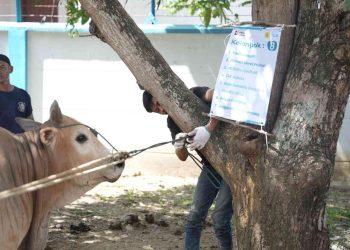 PLN UID Aceh Tebar Semangat Berbagi di Hari Raya Idul Adha 1447 H