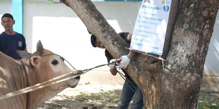 PLN UID Aceh Tebar Semangat Berbagi di Hari Raya Idul Adha 1447 H