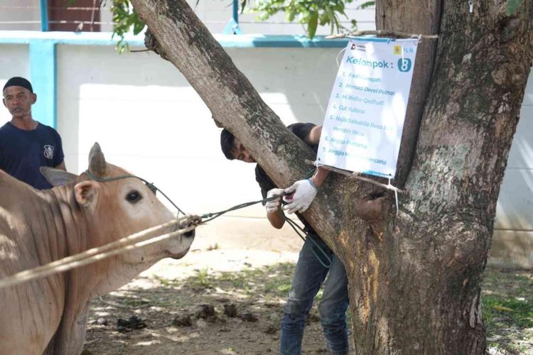 PLN UID Aceh Tebar Semangat Berbagi di Hari Raya Idul Adha 1447 H