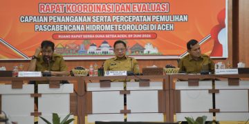 Di Hadapan Mendagri, Mualem Minta Percepatan Pemulihan Sawah dan Infrastruktur