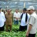 Mentan Apresiasi Kinerja Pemerintah Aceh, Janji Terus Dukung Pengembangan Pertanian dan Kopi Gayo