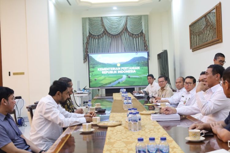 Bahas Pemulihan Sawah dan Kebun dengan Mentan, Gubernur Mualem: Kami Butuh Dukungan Pak Menteri