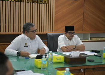 Pemerintah Aceh Percepat Pelayaran Ro-Ro Krueng Geukuh-Penang, PT PEMA Disiapkan Jadi Operator
