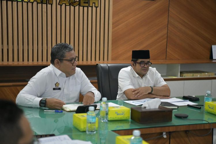 Pemerintah Aceh Percepat Pelayaran Ro-Ro Krueng Geukuh-Penang, PT PEMA Disiapkan Jadi Operator